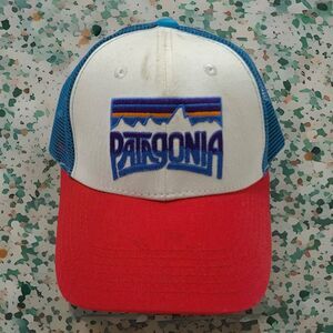 Patagonia Frostbite Series Embroidered Mesh Snapback Hat Cap One Size Adjustable